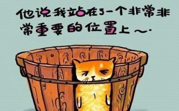 与反思有关的作文精选8篇