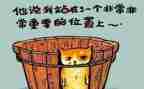 与反思有关的作文精选8篇