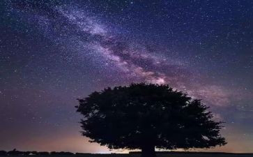 繁星心得体会优质5篇