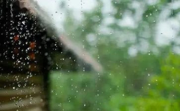 在风雨中作文500字模板8篇