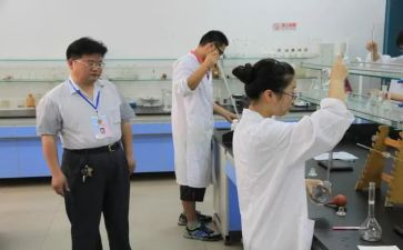 分析工年度个人工作总结6篇