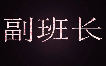部队副班长个人年终工作总结8篇