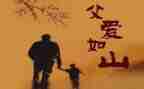 我的父亲作文500字7篇