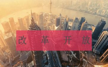 改革的心得体会模板6篇