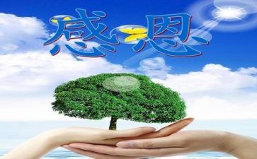 感恩节的作文300字5篇