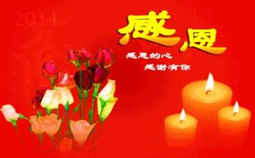感恩教师的演讲稿优秀8篇