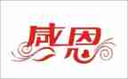 感恩社活动总结优质5篇
