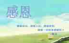 感恩作文范文800字6篇