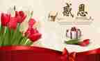 以感恩的作文800字最新6篇
