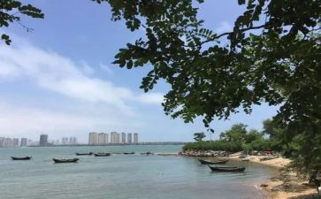 心灵的港湾600字作文7篇
