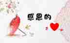 我很感激作文优质6篇