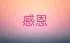 感激的人作文优质5篇