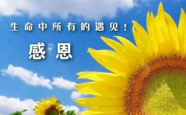 小学作文我感谢的人500字7篇