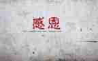 感谢祖国的演讲稿6篇