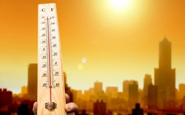 申请高温补贴申请书8篇