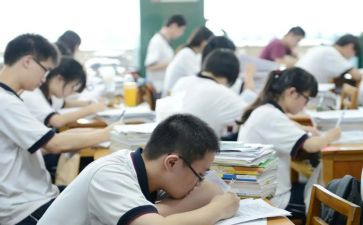 高一作文文化800字6篇