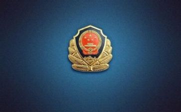 公安工作的工作总结模板8篇