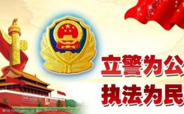 公安年度个人工作总结8篇