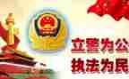 公安年度个人工作总结8篇