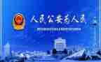 2023年度公安工作总结7篇