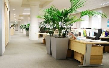 小公司工作计划模板7篇