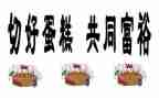 致富女能手事迹材料8篇