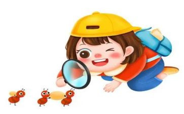 观察蒜的作文400字模板6篇