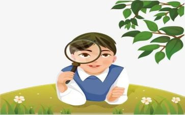 v观察作文通用7篇