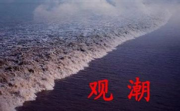 观潮读后感作文300字推荐8篇