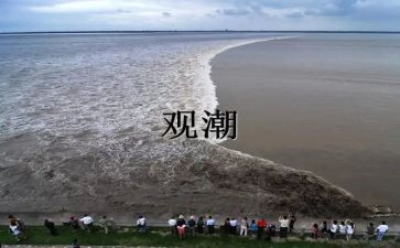 四年级观潮作文参考5篇