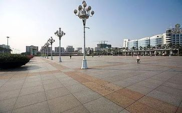 广场蟋蟀的读后感5篇