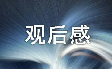 边红旗的故事的观后感5篇
