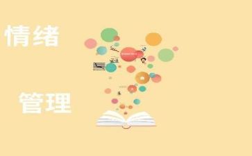 报告管理个人工作总结6篇