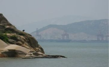去厦门鼓浪屿作文8篇