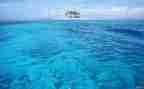 海作文600字优质5篇
