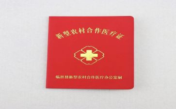 合疗个人工作总结2023最新7篇