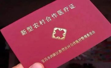 乡镇合疗个人工作总结参考5篇