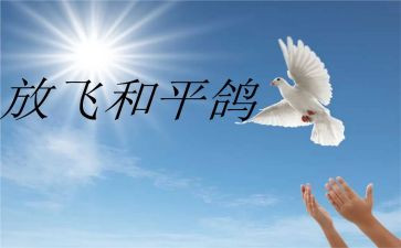 为了和平的心得体会优秀7篇