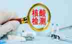 网格员核酸检测工作总结6篇