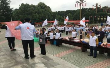 红十字日活动总结7篇