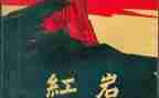 《红岩》的读后感800字6篇