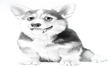 古诗《画》幼儿园教案7篇