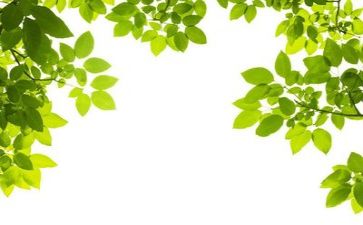 环保的心得体会500字7篇