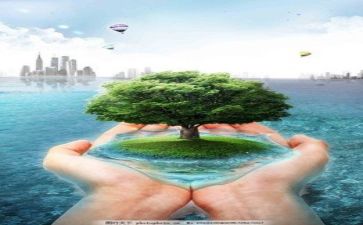环保之星的事迹通用8篇