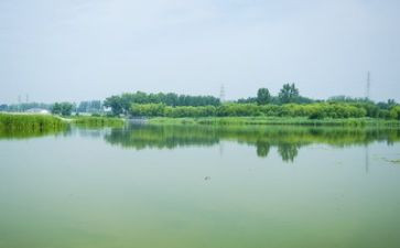 关于生态环境的调查报告7篇