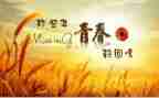 我青春时的回忆作文8篇
