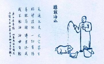 用生命呵护生命作文5篇