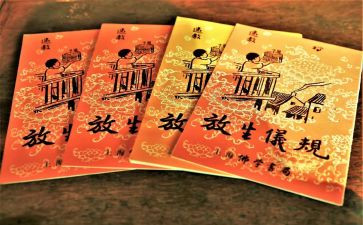 保护生态的演讲稿8篇