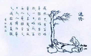 保护生命的作文7篇