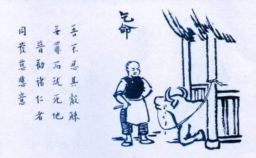 护生的自我鉴定5篇